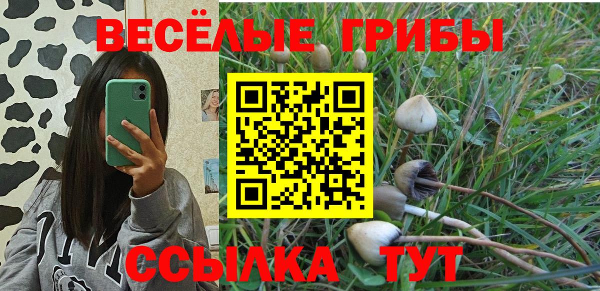 Псилоцибиновые грибы MAGIC MUSHROOMS Новошахтинск