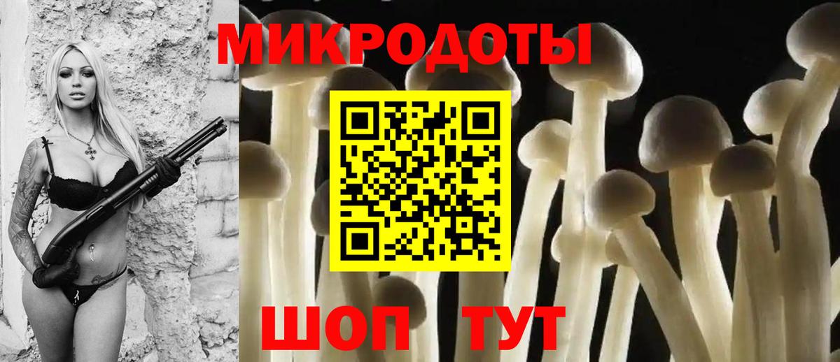Псилоцибиновые грибы MAGIC MUSHROOMS  даркнет сайт  Новошахтинск  Вход с VPN 